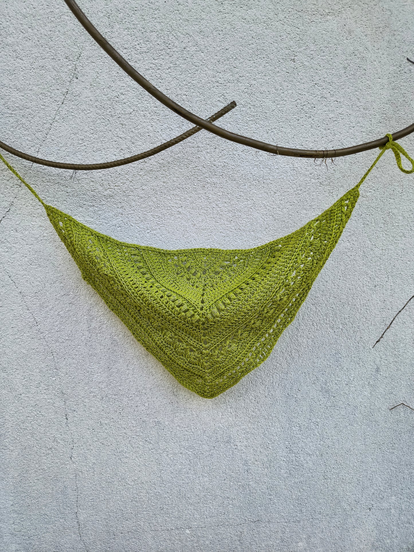 BANDANA CAPELLI CAVALLETTA