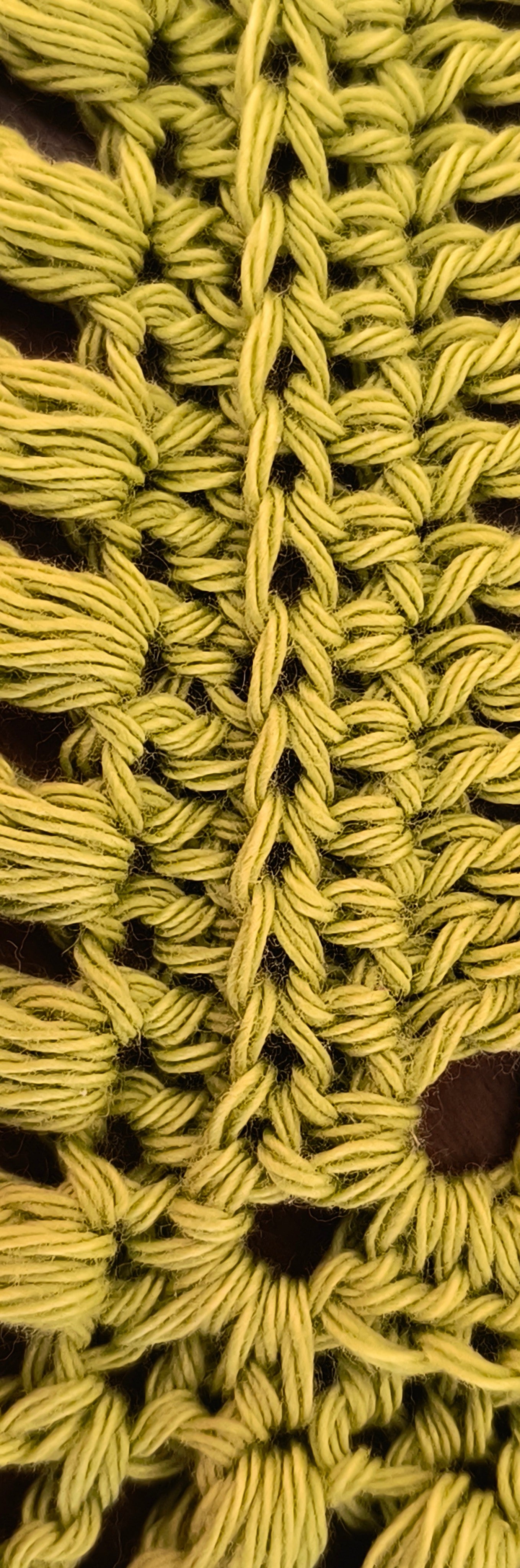 BANDANA CAPELLI CAVALLETTA